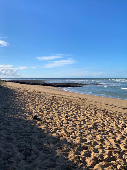 Paysage côtier avec sable et dunes au bord de l’océan Atlantique sur l’île d’Oléron.