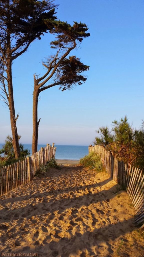 Vue sur la plage et l’océan depuis les dunes, coucher de soleil à proximité de la maison de vacances sur l’île d’Oléron.